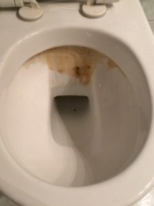 bild2 bild2