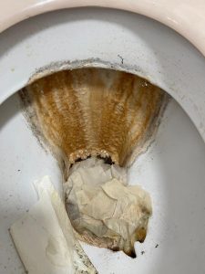img-20241230-wa0003 img-20241230-wa0003